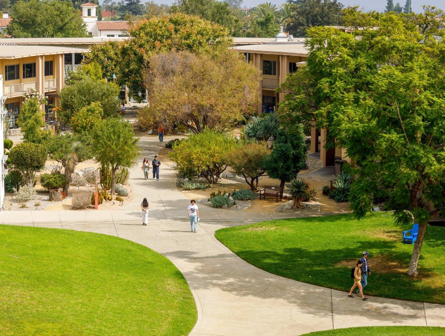 Students walking throuhg mounds with the academic quad in the background.